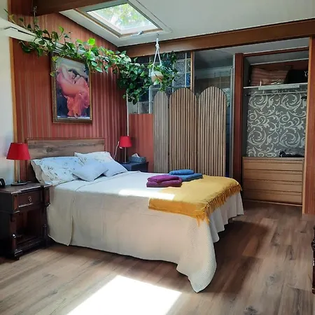Loft Con Jardin Villa Madrid Exterior photo