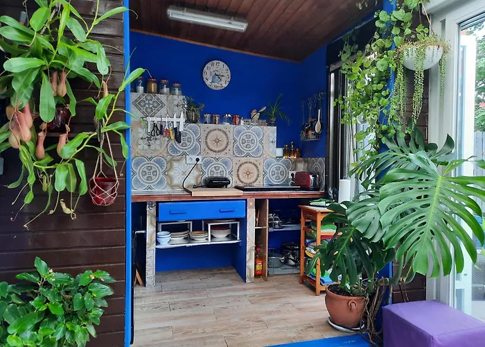 Loft Con Jardin