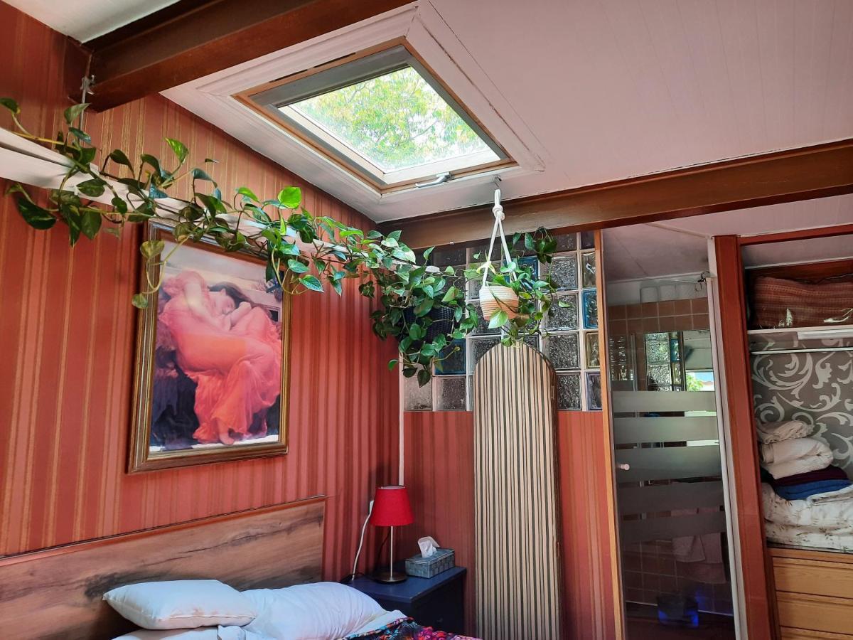 Ferienhaus Loft Con Jardin *