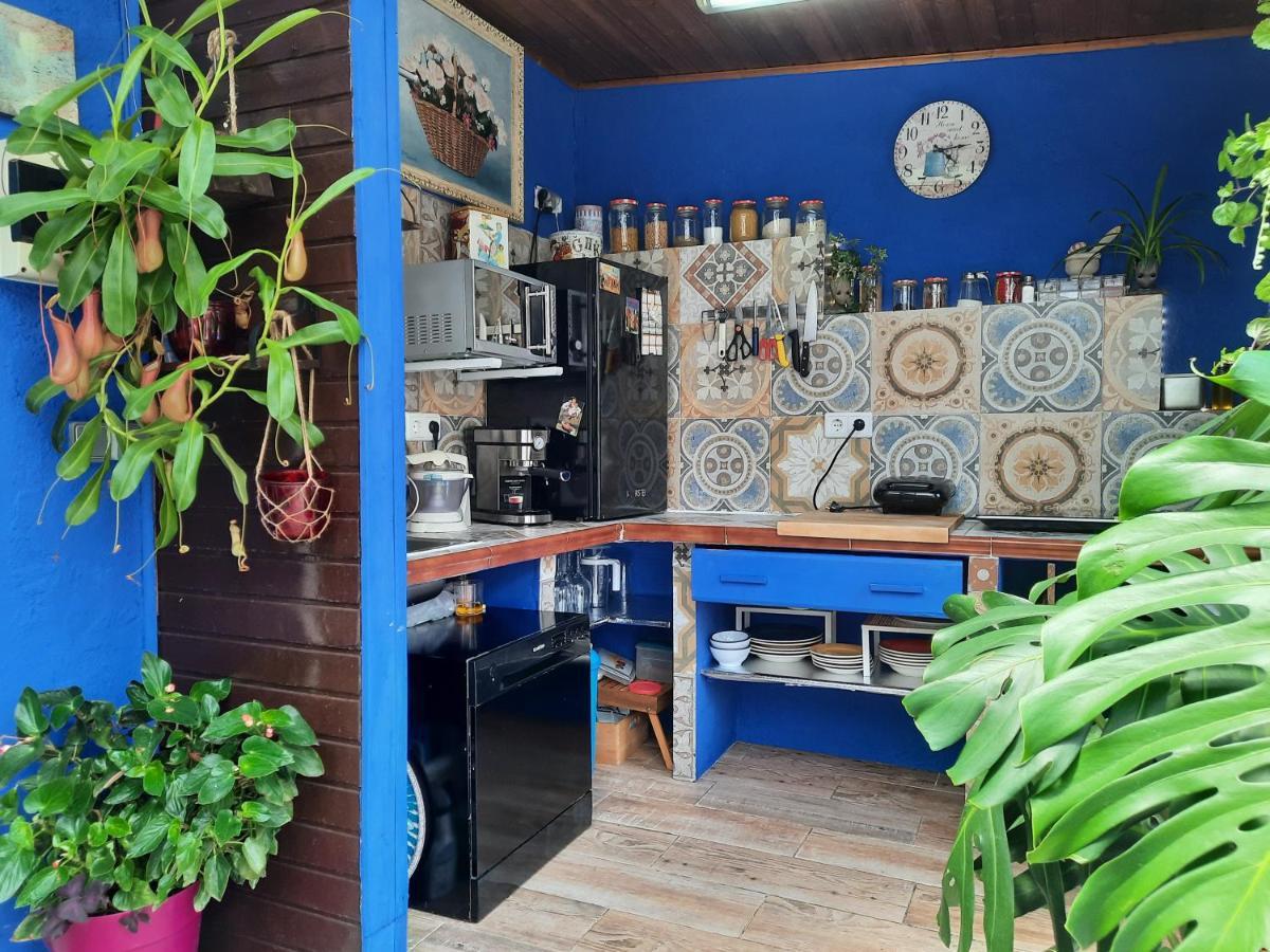 Loft Con Jardin Vakantiehuis *